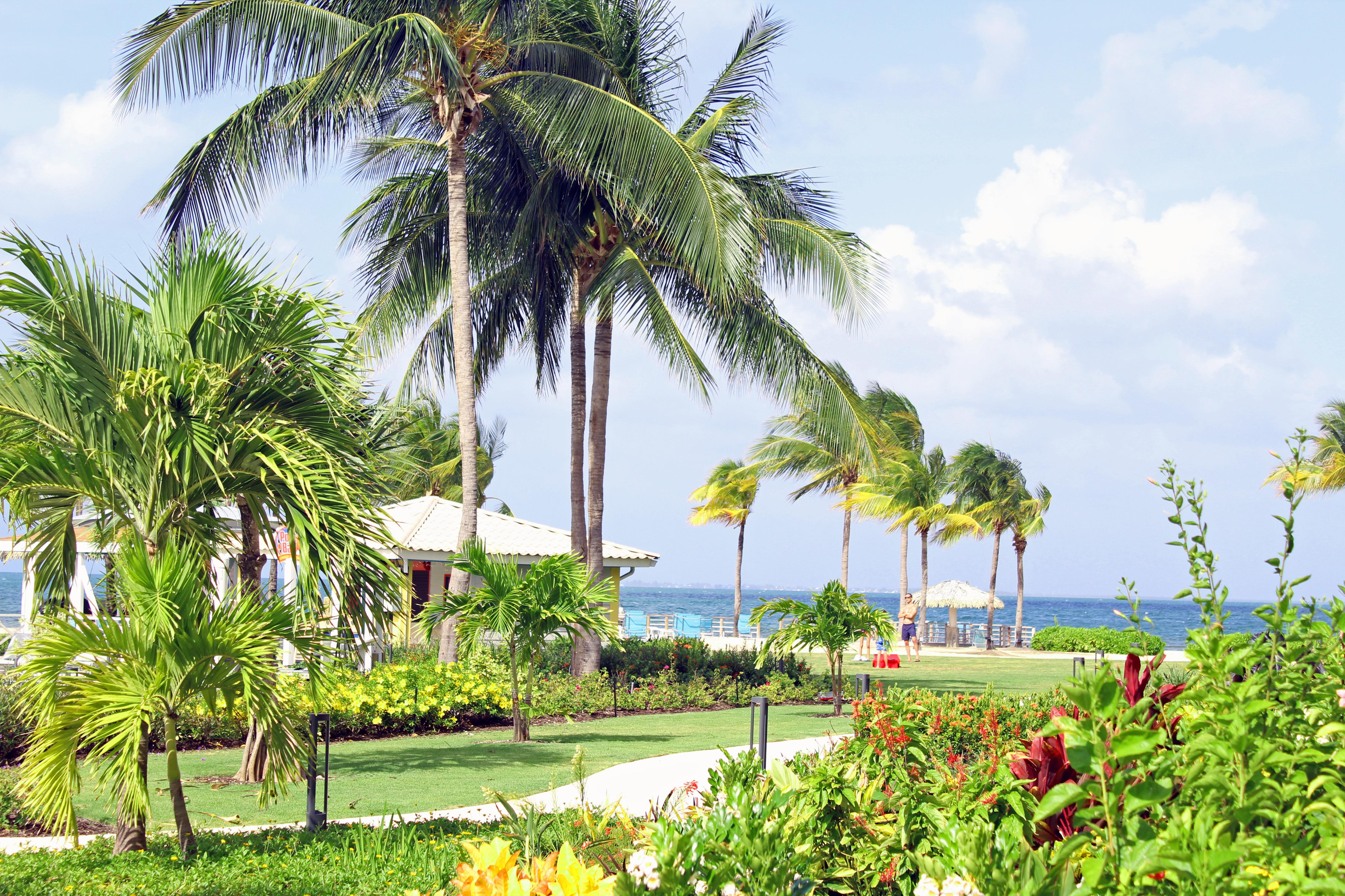 The Grand Caymanian Resort George Town Extérieur photo