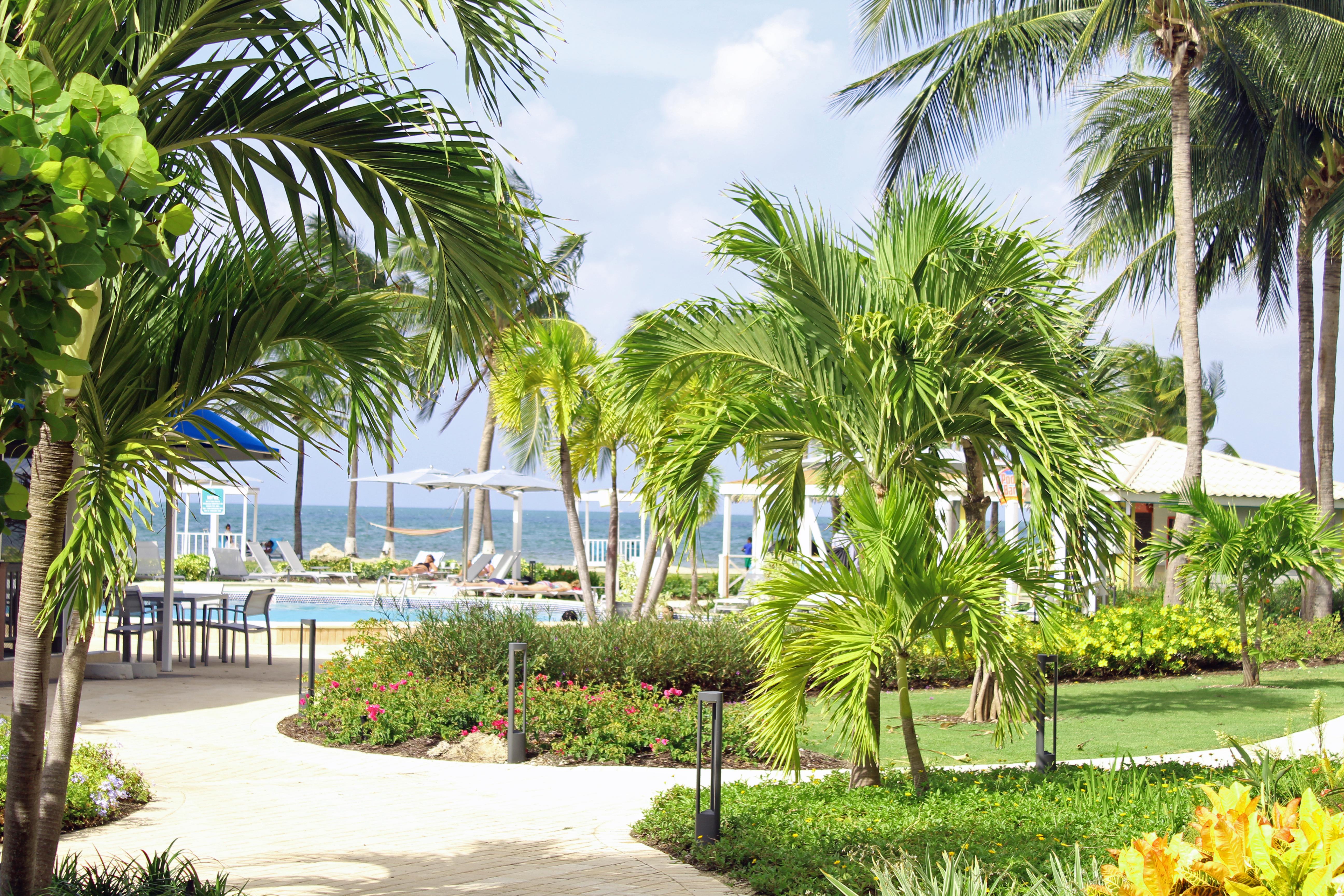 The Grand Caymanian Resort George Town Extérieur photo